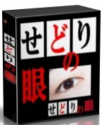 せどりの眼 2010 05 09 162540 優良商材レビュー一覧